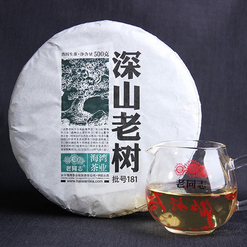 普洱生茶,深山老树饼茶500克